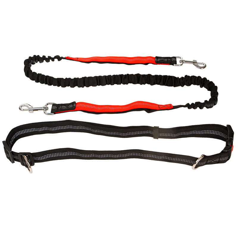 Reflective elastic pet running traction belt collar by Cashymart with adjustable fit and safety reflective strips for outdoor walks.
