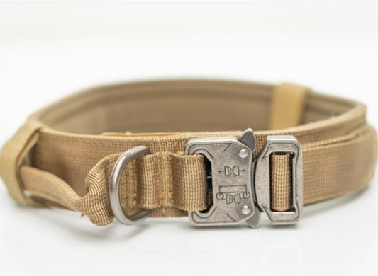 Nylon pet collar from Cashymart with adjustable strap and metal buckle, shown in vibrant blue color.
