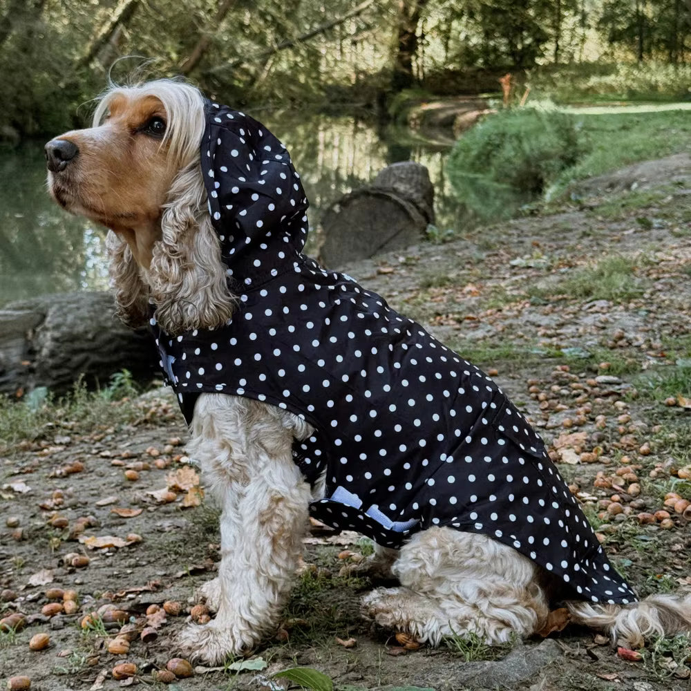 Pawsome Raincoats