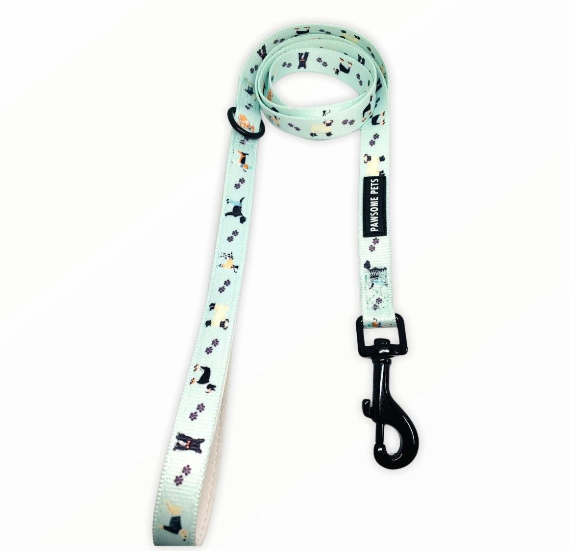Pawsome Pets Designer Premium Dog Lead - DAPPER DOGGY