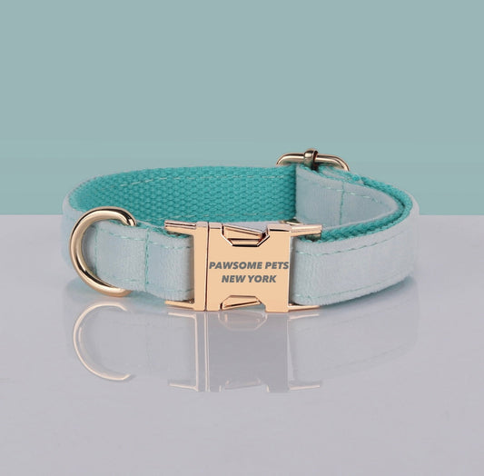 Light green velvet dog and cat collar from Pawsomepetsnewyork featuring a soft, stylish design for pets.