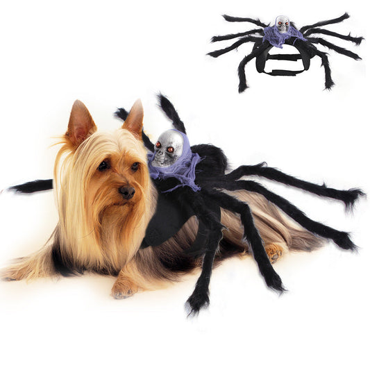 Halloween pet cosplay costume for cats by PAWSOME PETS, featuring a festive outfit with fun Halloween-themed details.