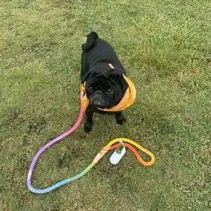 Vintage PAWSOME PETS dog rope leash with durable woven design, featuring a sturdy handle and metal clip for secure walking.