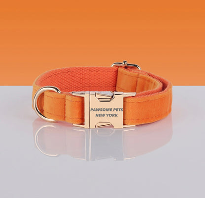 Orange velvet dog and cat collar from Pawsomepetsnewyork, soft and stylish pet accessory with a secure buckle.