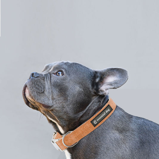 Orange burst organic hemp and cotton dog collar by Essential Dog, featuring a durable, stylish accessory for pets.