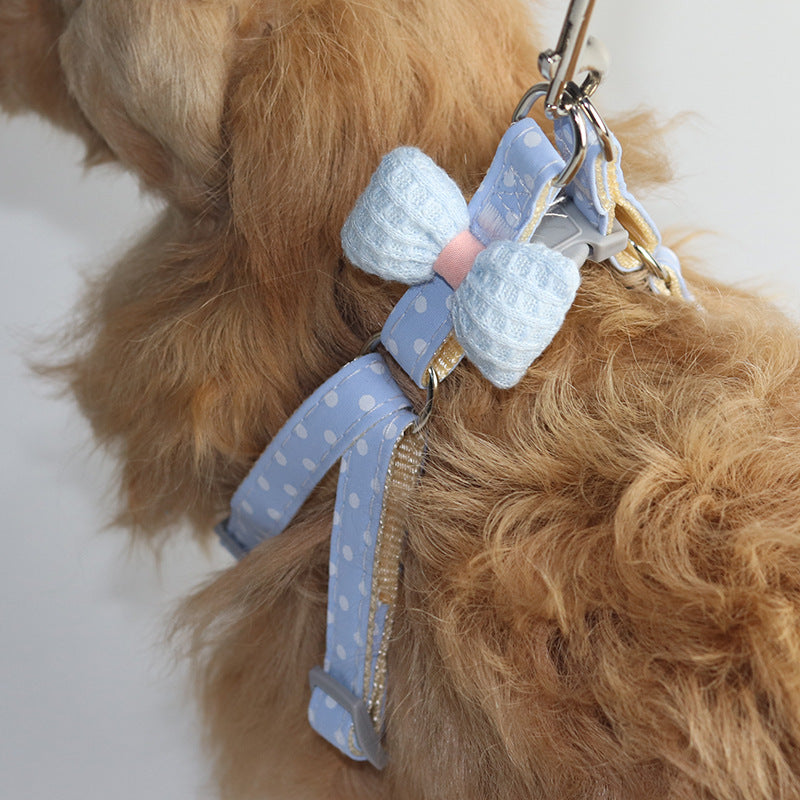 Cotton fashion dog leash by Cashymart featuring a durable collar with colorful design and metal clasp for secure walking.