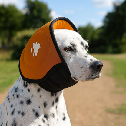 Dog wearing Cashymart calming hood designed to reduce anxiety and stress in pets, with soft fabric and secure fit.