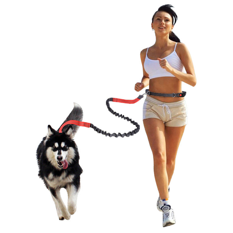 Elastic reflective pet running traction belt collar by Cashymart, designed for outdoor walks and enhanced visibility.