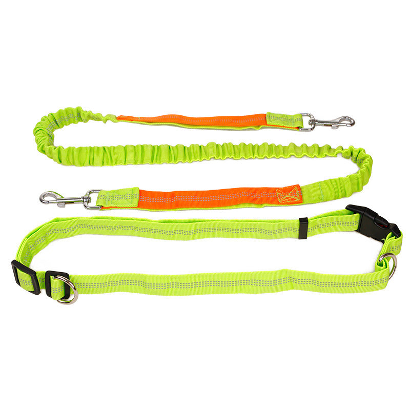 Reflective elastic pet running traction belt collar by Cashymart, designed for secure and visible outdoor walks with dogs.