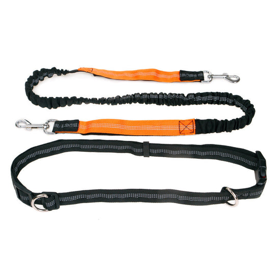 Cashymart elastic reflective pet running traction belt attached to a dog collar, visible on a small dog in an outdoor setting.