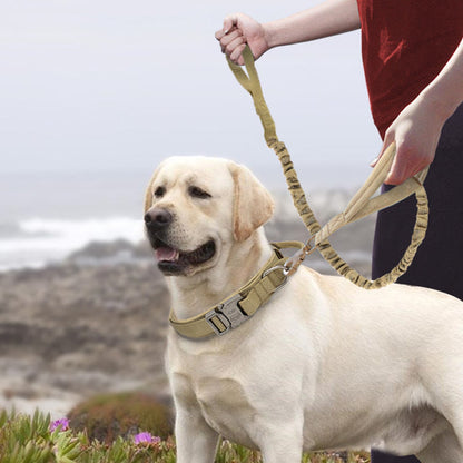 Nylon pet collar by Cashymart with adjustable strap and metal buckle, shown on a background of various pet accessories.