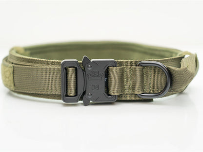 Nylon pet collar by Cashymart with adjustable strap and metal buckle, featuring a vibrant blue color for dogs or cats.