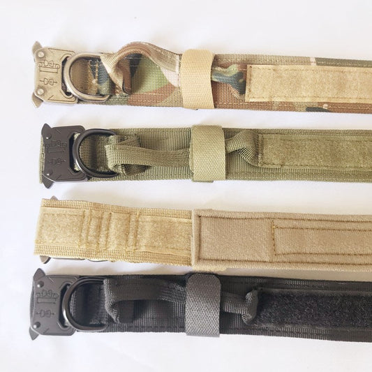 Nylon pet collar by Cashymart with adjustable strap and plastic buckle, shown on a pet's neck.