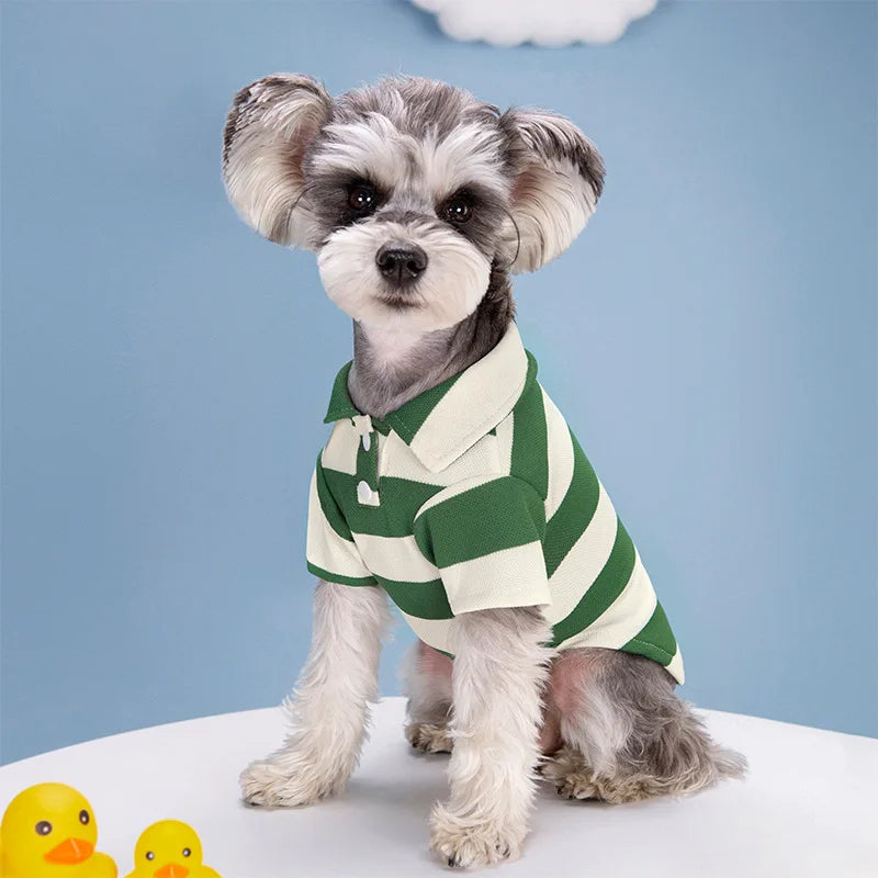 Pet dog wearing a casual summer polo shirt from Cashymart, lightweight and comfortable for warm weather.
