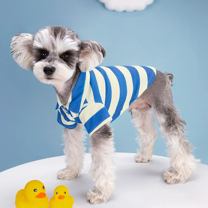 Dog wearing a casual summer polo shirt by Cashymart, light and comfortable pet clothing for warm weather.