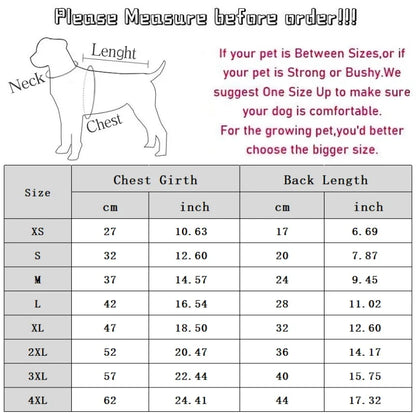Pet dog wearing a casual summer polo shirt in blue, from Cashymart, suitable for warm weather and outdoor walks.