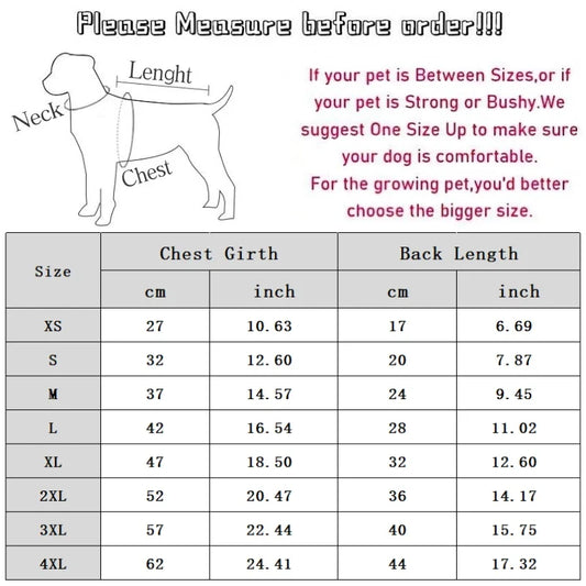 Pet dog wearing a casual summer polo shirt in blue, from Cashymart, suitable for warm weather and outdoor walks.