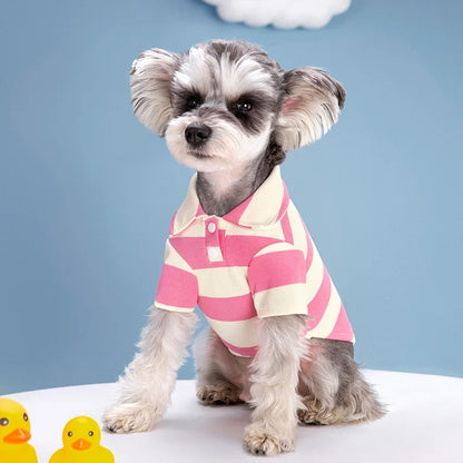 Pet dog wearing a casual summer polo shirt by Cashymart, lightweight and comfortable pet apparel for warm weather.