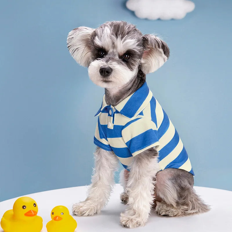 Dog wearing a casual summer polo shirt by Cashymart, lightweight pet clothing for comfort and style.