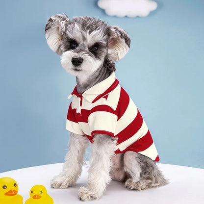 Pet dog wearing a casual summer polo shirt by Cashymart, lightweight and comfortable pet clothing for warm weather.