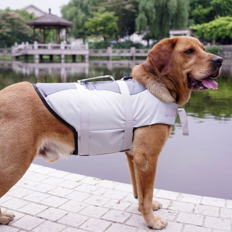 Cashymart pet vest life jacket with collar, designed for swimming and safety, featuring adjustable straps and bright color for visibility.