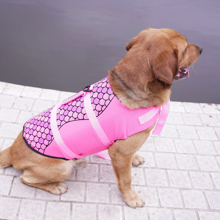 Cashymart pet vest life jacket with collar, designed for safety and comfort during water activities for dogs.