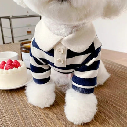 Small dog wearing a summer polo shirt from Cashymart, lightweight and breathable dog apparel perfect for warm weather.