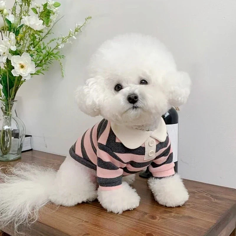 Summer dog polo shirt for small dogs by Cashymart, featuring lightweight fabric and classic collar design.