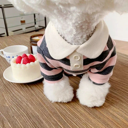 Small dog wearing a light blue Summer Dog Polo Shirt by Cashymart, showcasing a comfortable, stylish pet clothing option.
