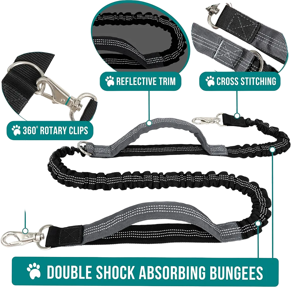 Dog leash with features highlighted on a white background