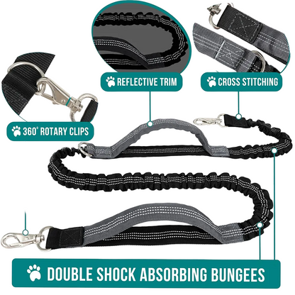Dog leash with features highlighted on a white background